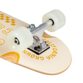 Arbor Skateboards Cruiser Venice Pilsner complete 28.75