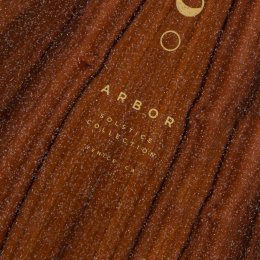 Arbor Longboards Axis Solstice Lunar B4BC Performance Komplett 37"